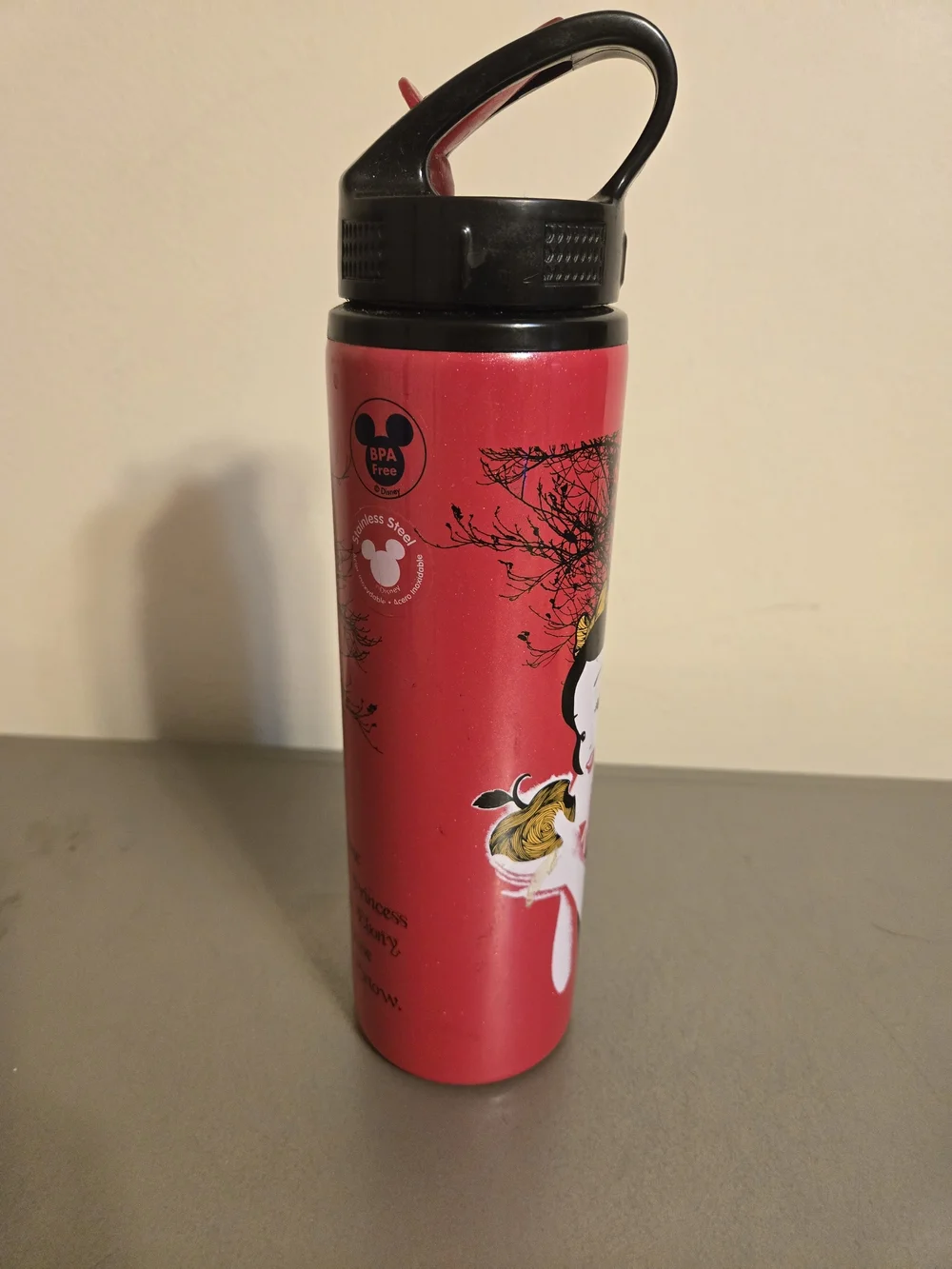 Disney Store Snow White Stainless Steel 26oz Water Bottle